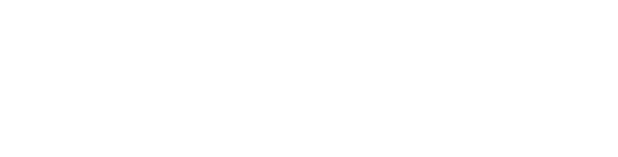 ApexAI Logo