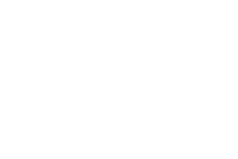 Bipi Logo