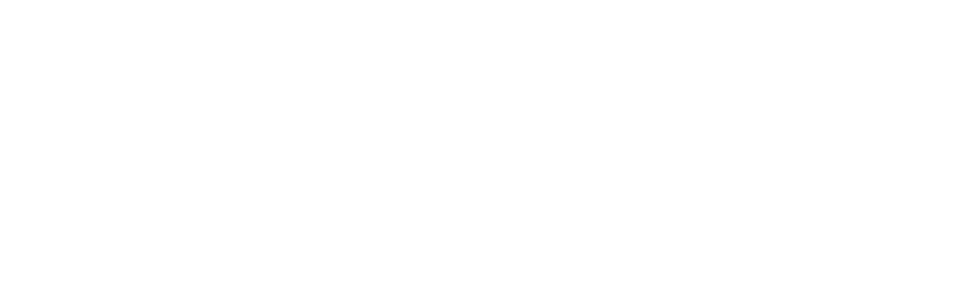 Carbice Logo