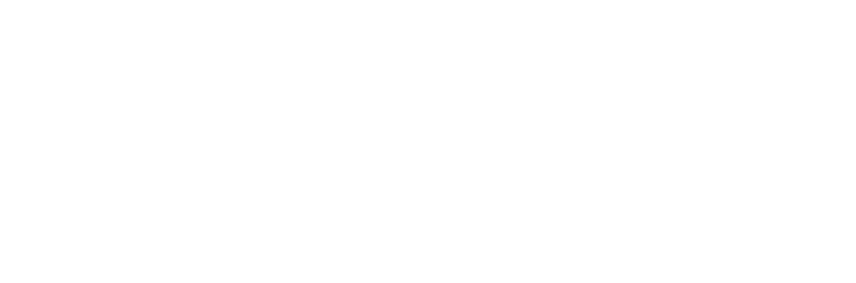 Common Sense Logo
