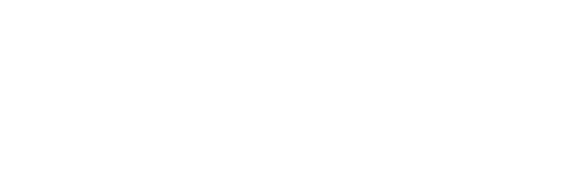 Nauto Logo