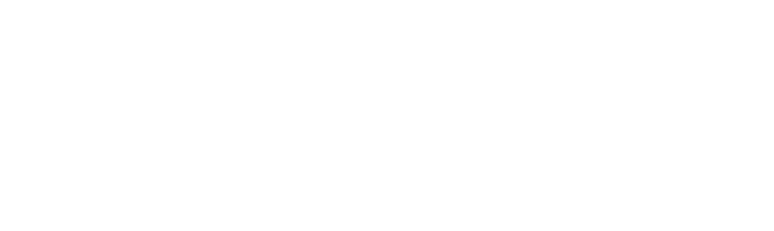 Perceptive Automata Logo