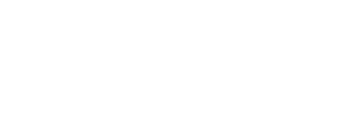 ION Logo