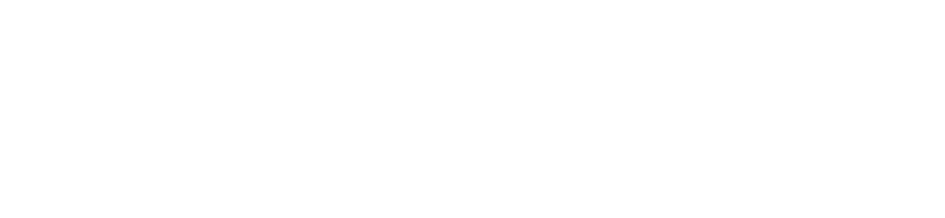 Paladin Logo
