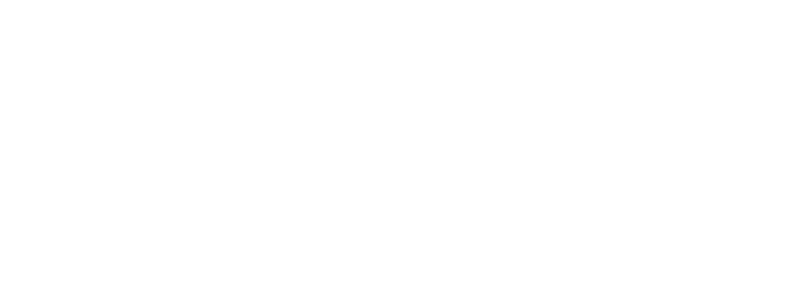 Vow Logo