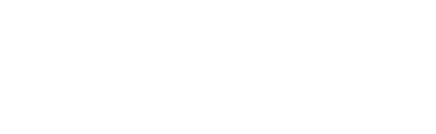 Zeti Logo